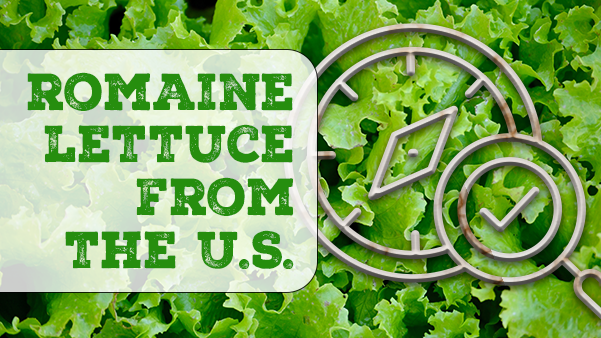 Romaine Lettuce from the U.S.